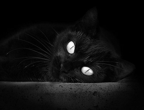 “法甲激战如火,豪门拼搏争夺联赛桂冠”,法甲 豪门