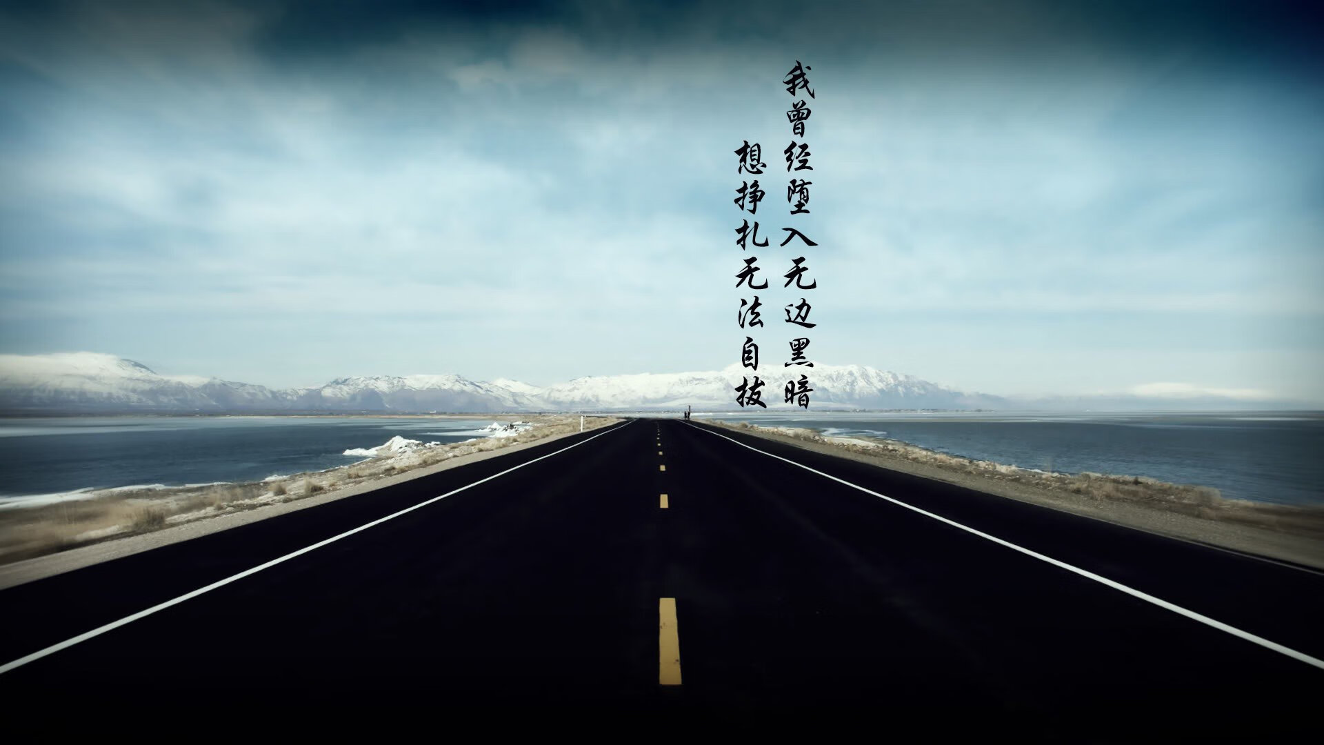 伊朗散打队夺2金3银1铜，展现强劲实力，伊朗拳击世界冠军