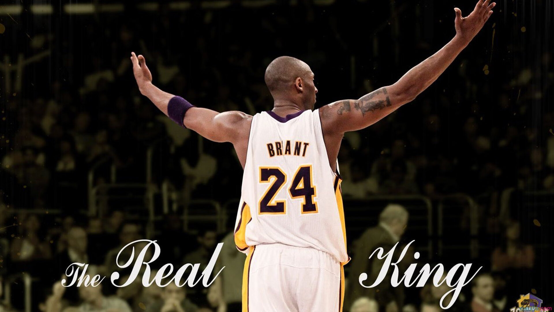 足球装备品牌发布新一季战靴，足球鞋前十大品牌